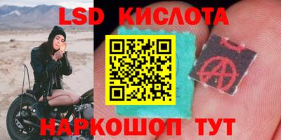 молекула духа Гагарин